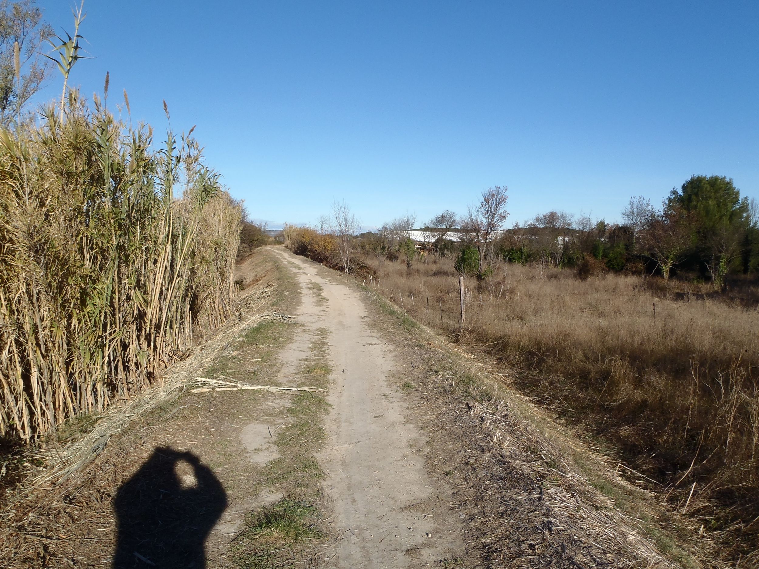 Digue du Rhôny à Vergèze