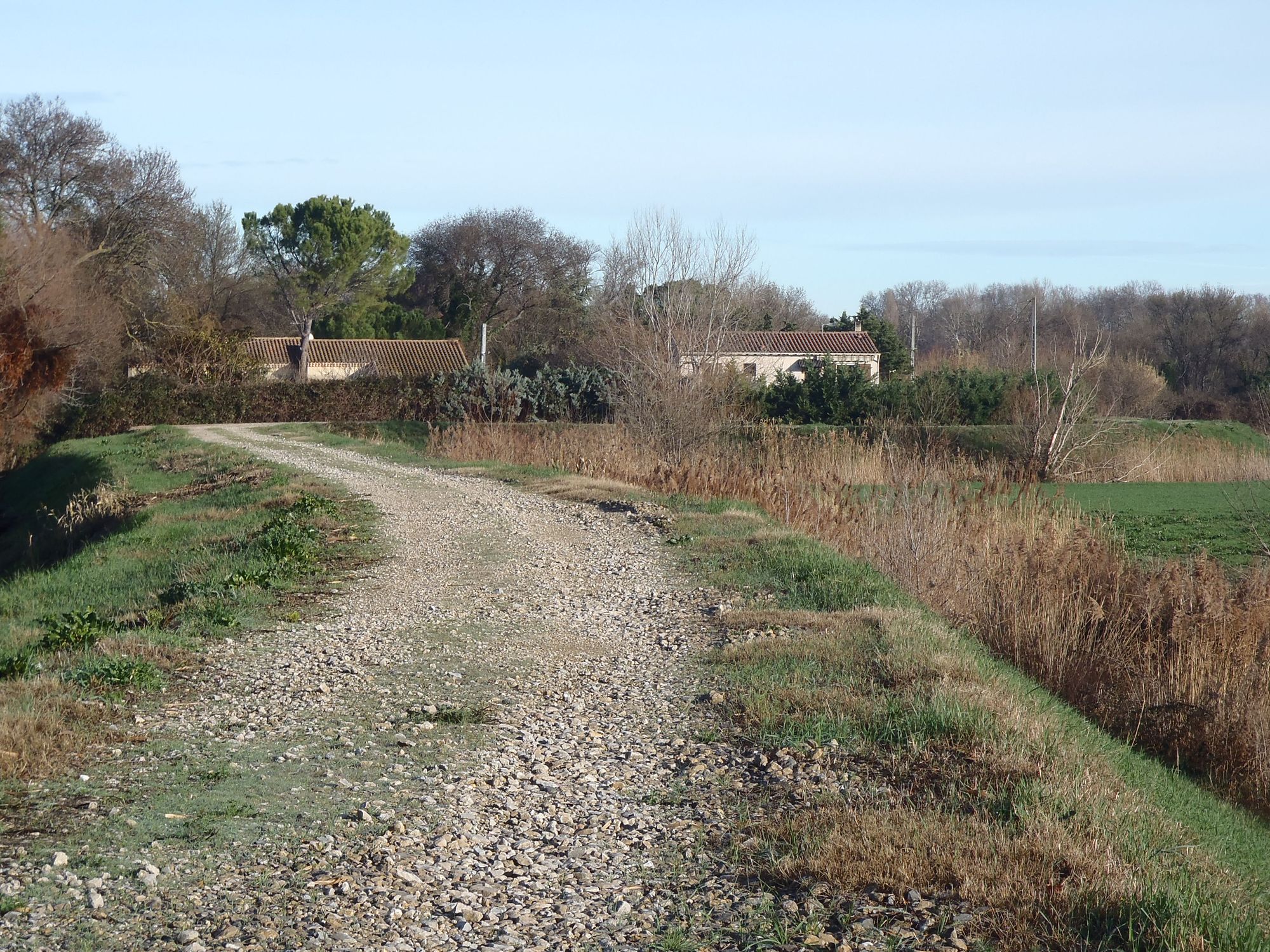 Digue de la Méjane au Cailar