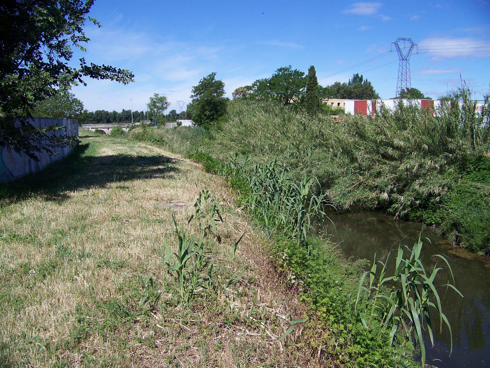 Digue de Caissargues