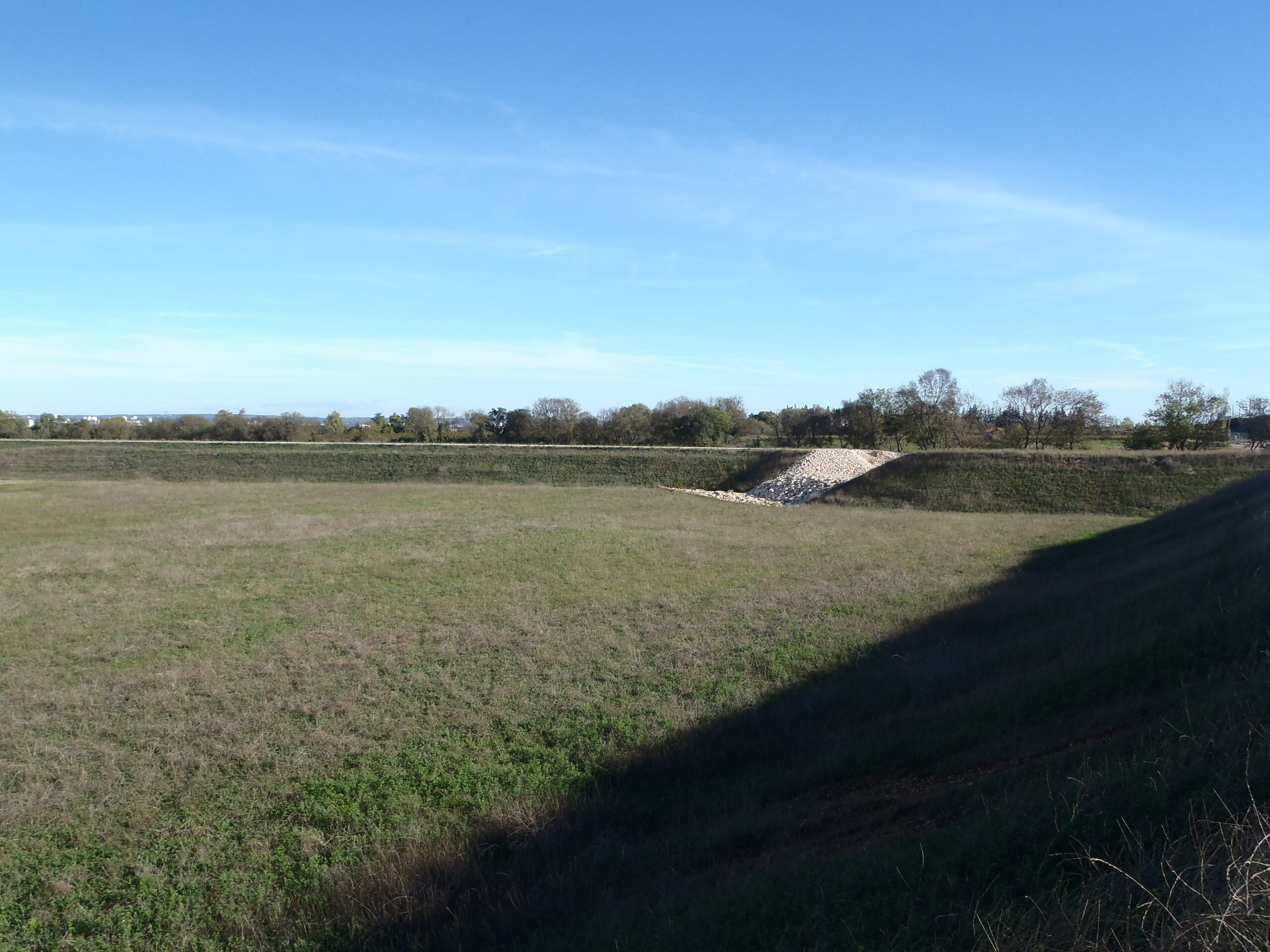 Bassin Nord d'Aubord sur le Grand Campagnol