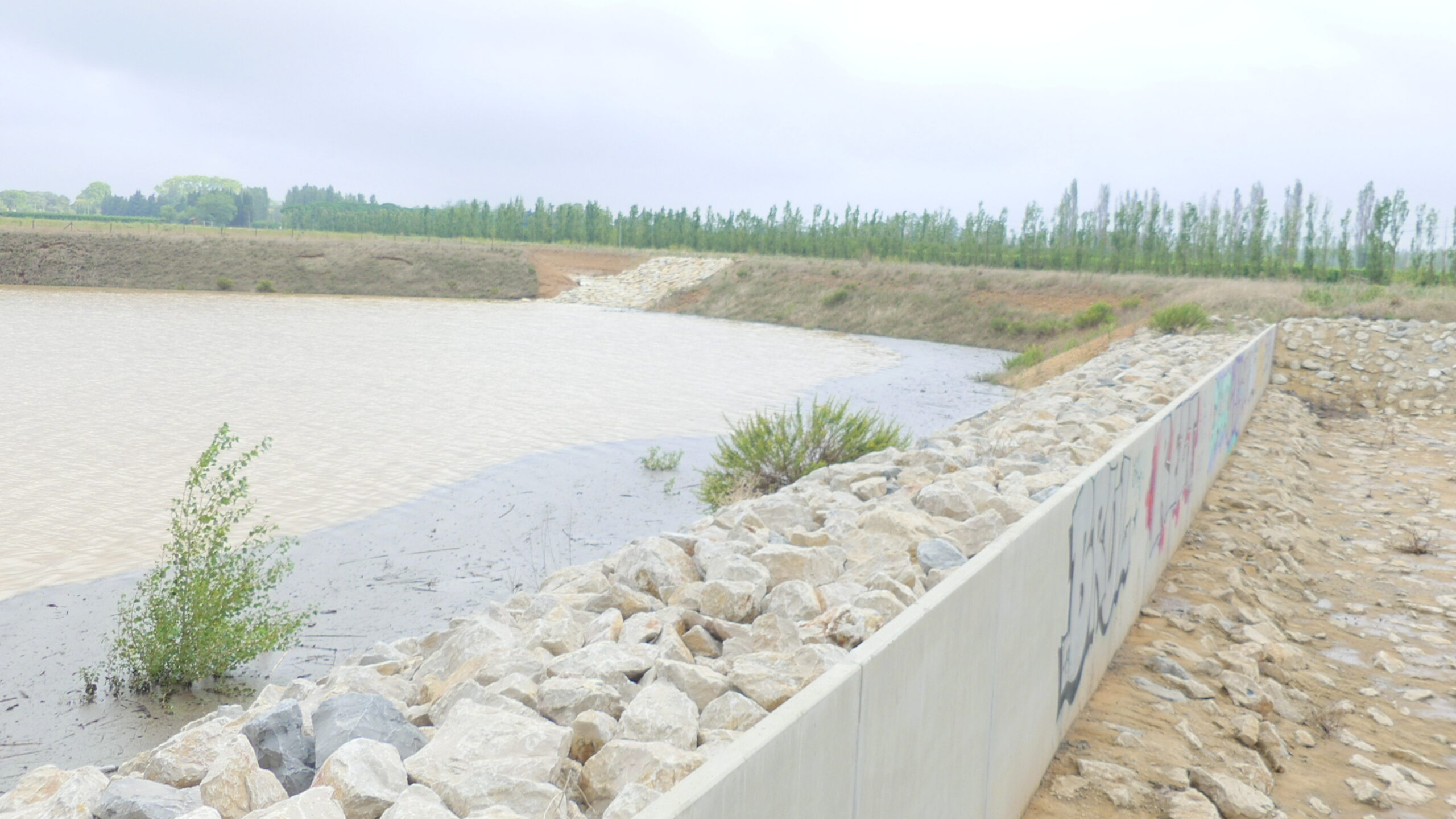 Bassin Sud d'Aubord sur le Rieu