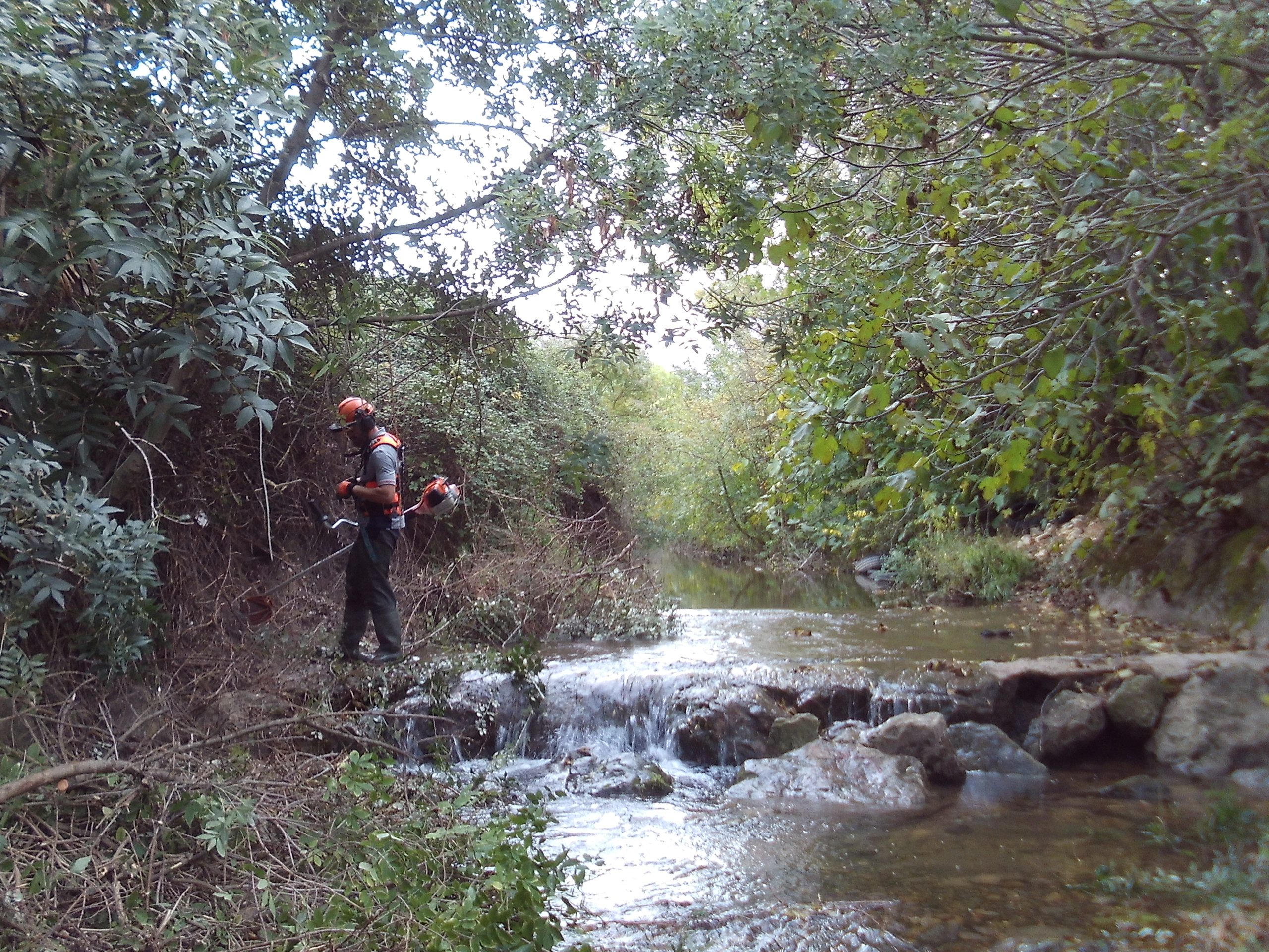 Débroussaillage des bas berge du Grand Campagnolle à Aubord