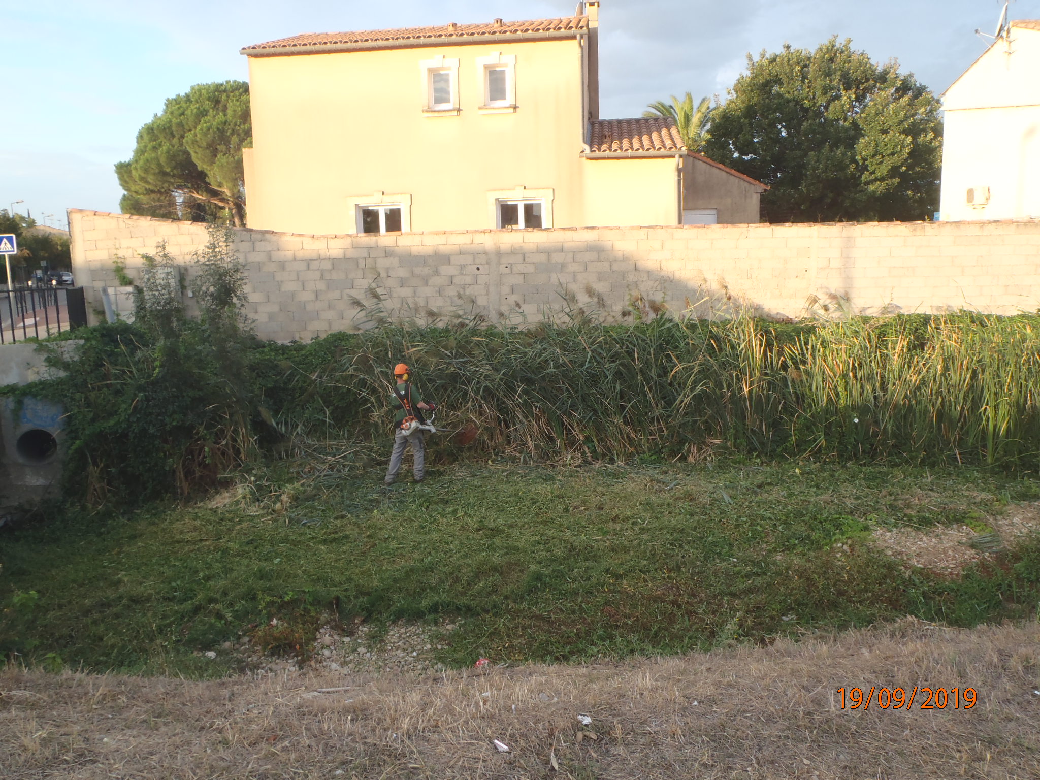 Débroussaillage du fond de lit du GRAND CAMPAGNOLLE à AUBORD