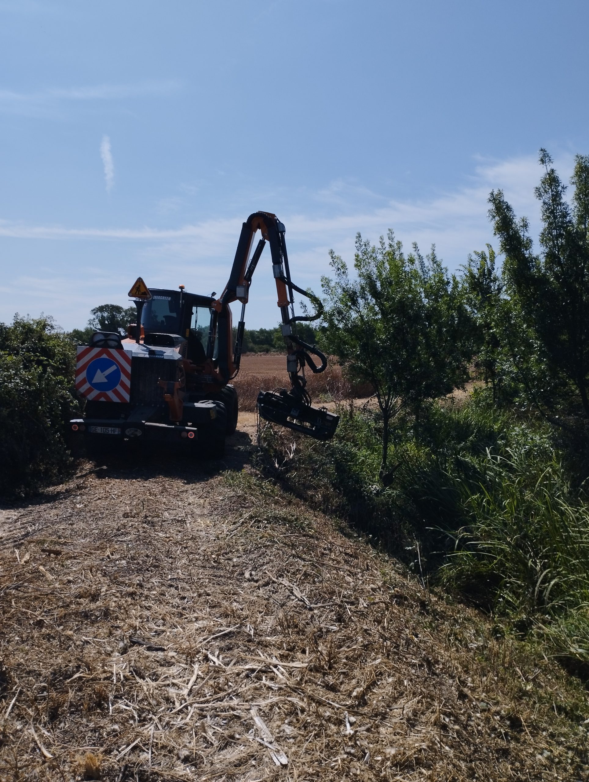 Faucardage en bord du Vieux Rhôny au Cailar