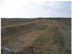 Le Buffalon à Redessan