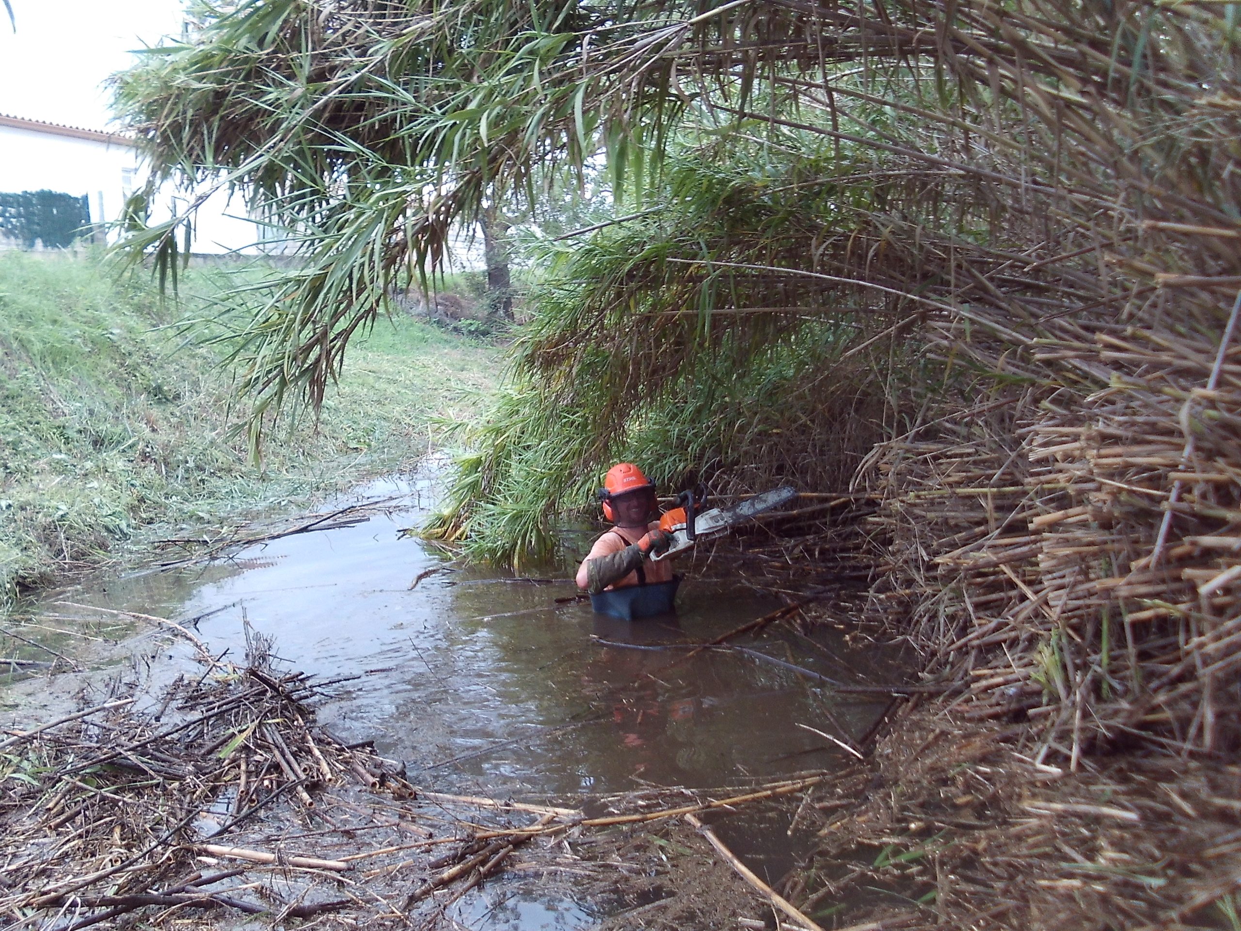 Maitrise des cannes de Provence en bord du Grand Campagnolle à Aubord
