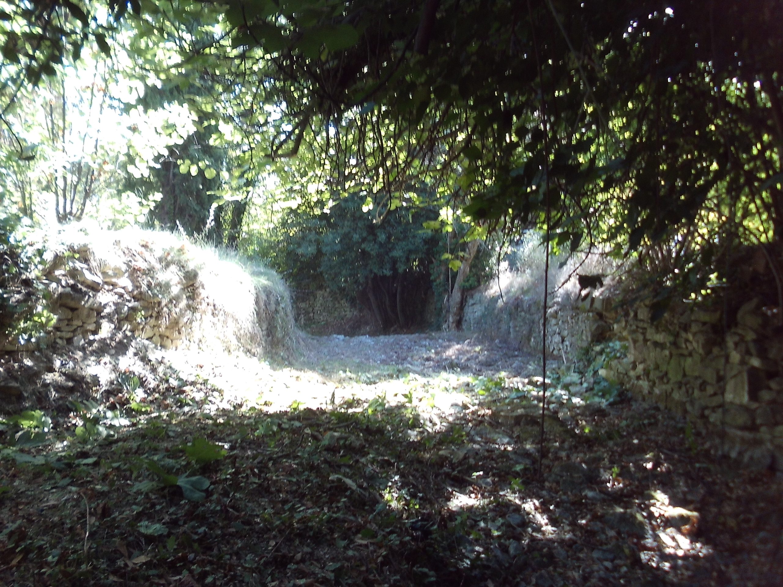 l'Escatte à Calivisson - Automne 2018